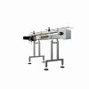 GLOBALTEK® S/S Raised Bed Sanitary Conveyor with 12" Table Top Acetal Plastic Belt