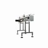 GLOBALTEK® S/S Raised Bed Sanitary Conveyor with 12" Table Top Acetal Plastic Belt